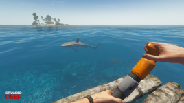 Stranded Deep fait surface sur Steam