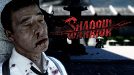 Shadow Warrior